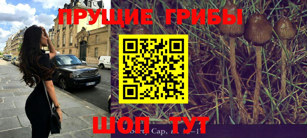 Галлюциногенные грибы Cubensis  Вход с VPN  Рыбинск 